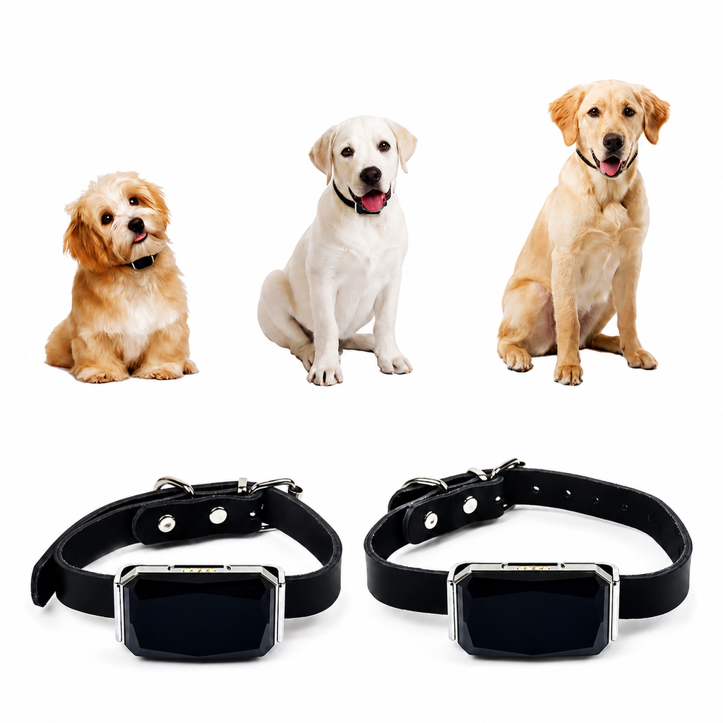 Collier GPS pour chien et chat – Traceur intelligent avec suivi en temps réel