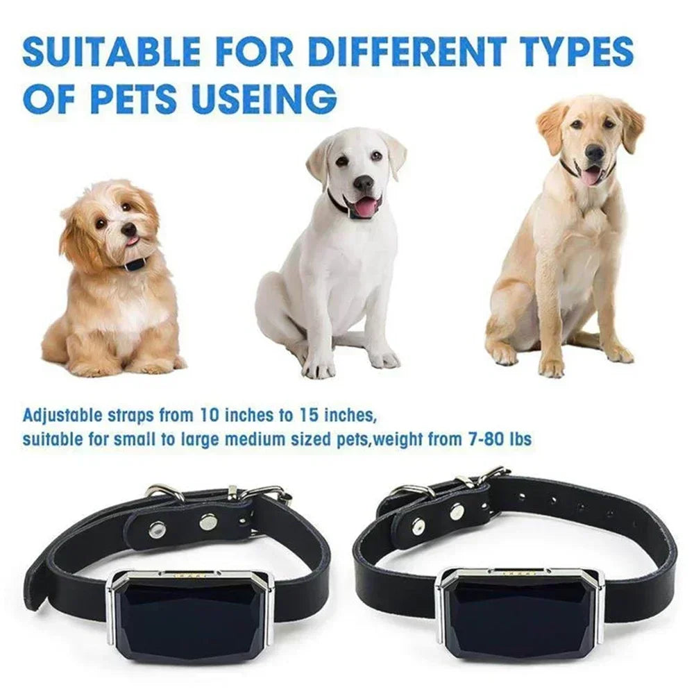 Collier GPS pour chien et chat – Traceur intelligent avec suivi en temps réel