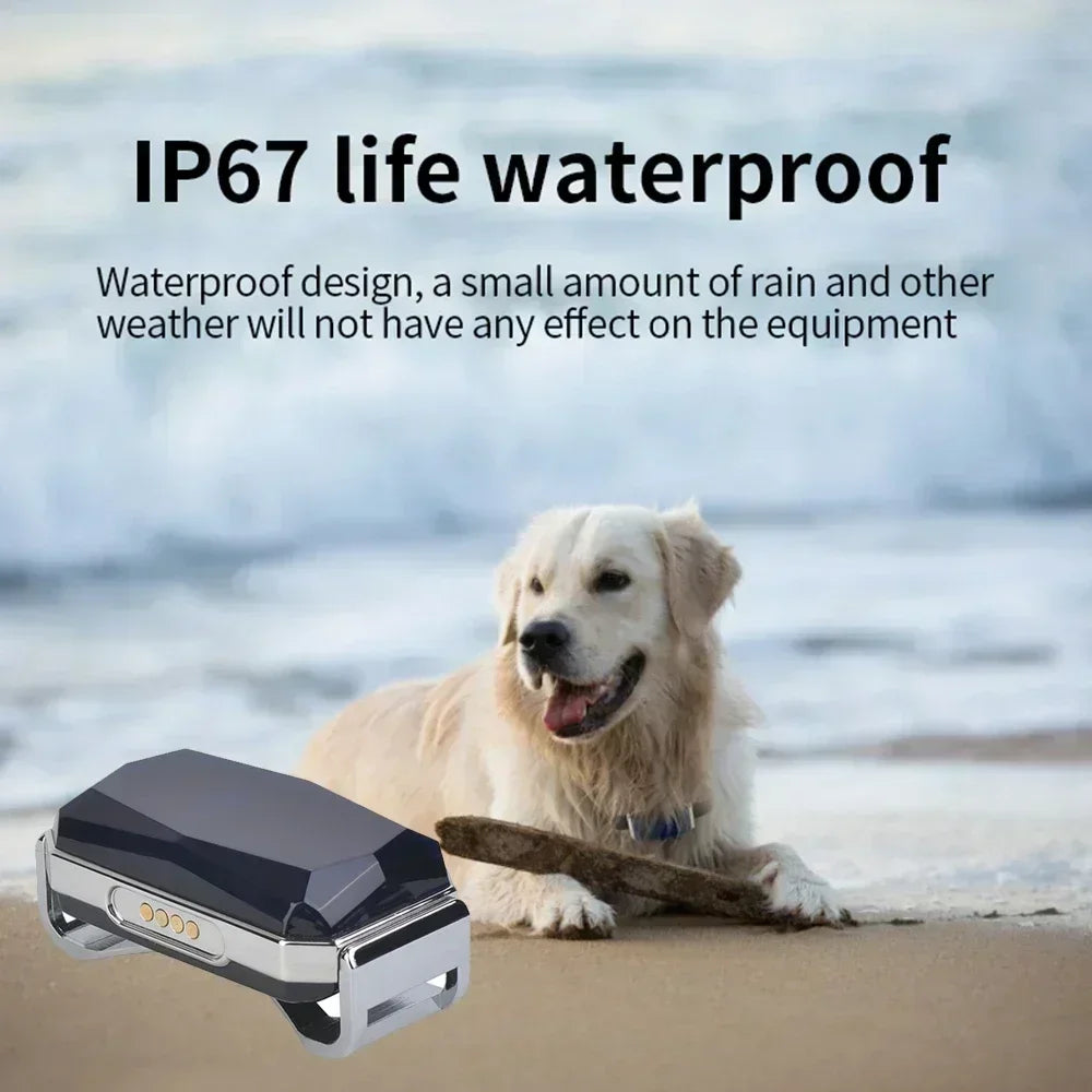 Collier GPS pour chien et chat – Traceur intelligent avec suivi en temps réel