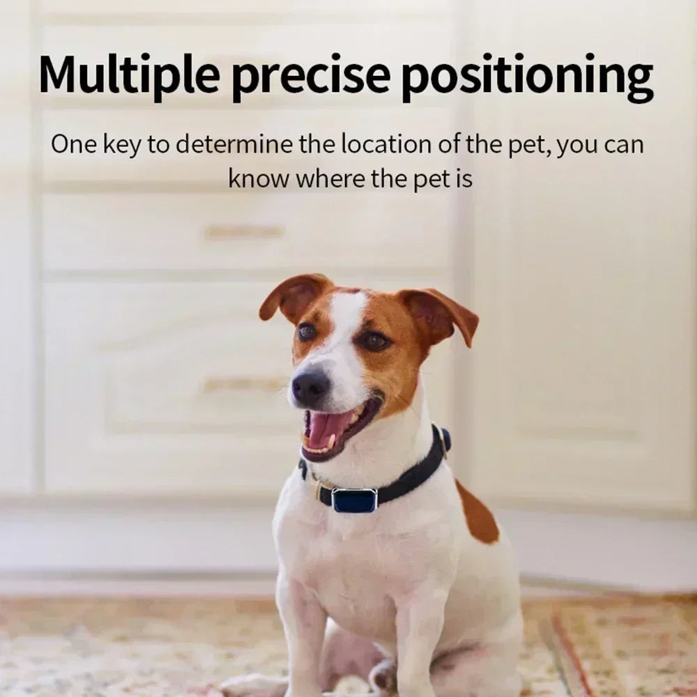 Collier GPS pour chien et chat – Traceur intelligent avec suivi en temps réel