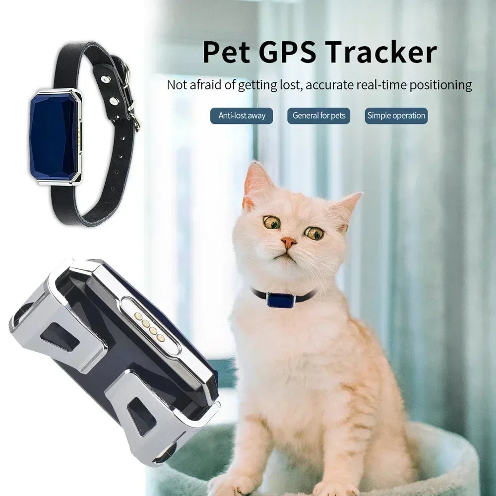 Collier GPS pour chien et chat – Traceur intelligent avec suivi en temps réel